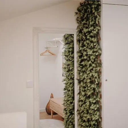 Nature Cosy Private House,W/Ac Downtown Near Metro OOporto Exterior foto