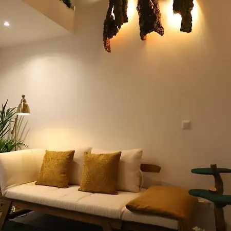 Nature Cosy Private House,W/Ac Downtown Near Metro OOporto Exterior foto